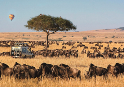 MAASAI MARA NATIONAL RESERVE