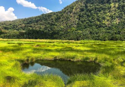 SEMULIKI NATIONAL PARK