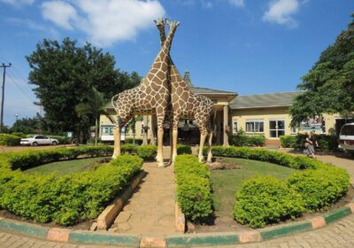 UWEC-UGANDA WILDLIFE EDUCATION CENTRE