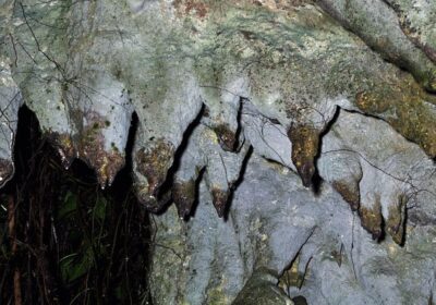 EXPLORE AMABERE GA NYINA MWIRU CAVES