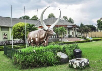THE AUTHENTIC EXPERIENCE OF IGONGO CULTURAL CENTRE